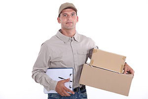 courier service in Denbigh cheap courier